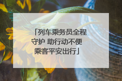 列车乘务员全程守护 助行动不便乘客平安出行