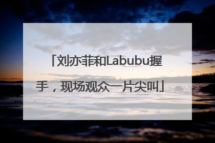刘亦菲和Labubu握手，现场观众一片尖叫