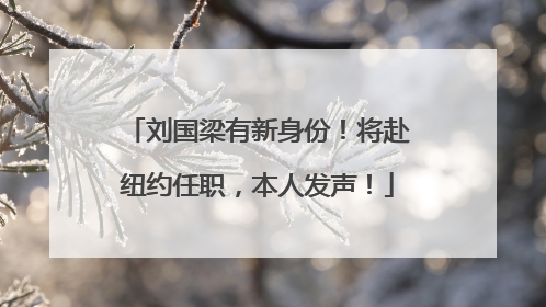 刘国梁有新身份！将赴纽约任职，本人发声！