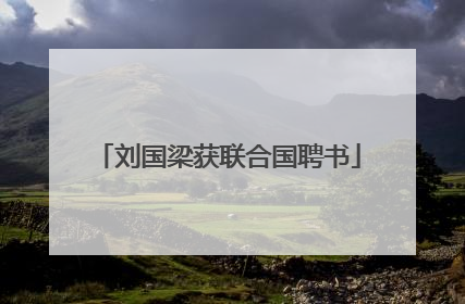 刘国梁获联合国聘书