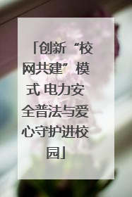 创新“校网共建”模式 电力安全普法与爱心守护进校园