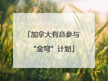 加拿大有意参与“金穹”计划