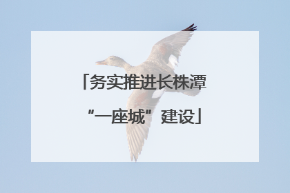 务实推进长株潭“一座城”建设