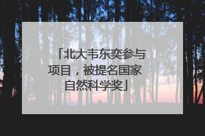 北大韦东奕参与项目，被提名国家自然科学奖