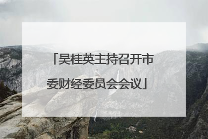 吴桂英主持召开市委财经委员会会议