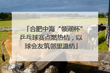 合肥中海“领潮杯”乒乓球赛点燃热情，以球会友筑邻里温情