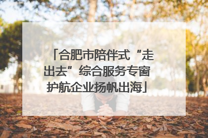 合肥市陪伴式“走出去”综合服务专窗护航企业扬帆出海