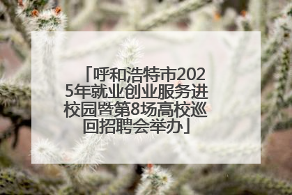 呼和浩特市2025年就业创业服务进校园暨第8场高校巡回招聘会举办