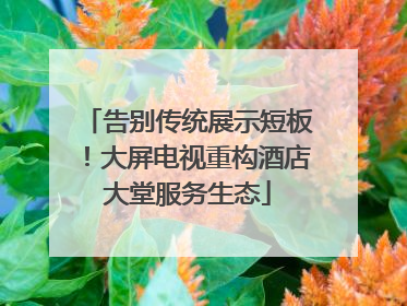告别传统展示短板！大屏电视重构酒店大堂服务生态