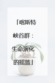 喀斯特峡谷群：生命演化的摇篮
