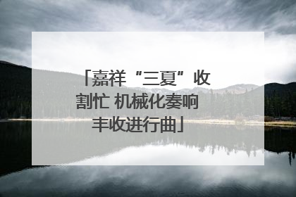 嘉祥“三夏”收割忙 机械化奏响丰收进行曲
