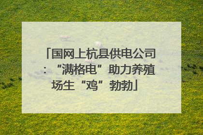 国网上杭县供电公司：“满格电”助力养殖场生“鸡”勃勃