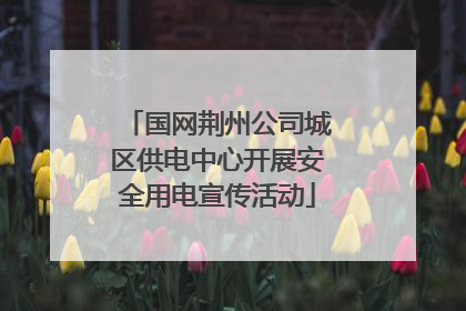 国网荆州公司城区供电中心开展安全用电宣传活动