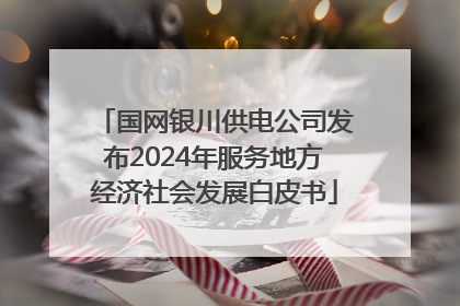 国网银川供电公司发布2024年服务地方经济社会发展白皮书
