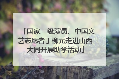 国家一级演员、中国文艺志愿者丁柳元走进山西大同开展助学活动