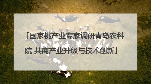 国家桃产业专家调研青岛农科院 共商产业升级与技术创新