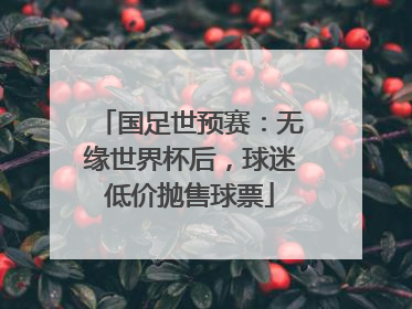 国足世预赛：无缘世界杯后，球迷低价抛售球票