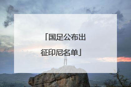国足公布出征印尼名单
