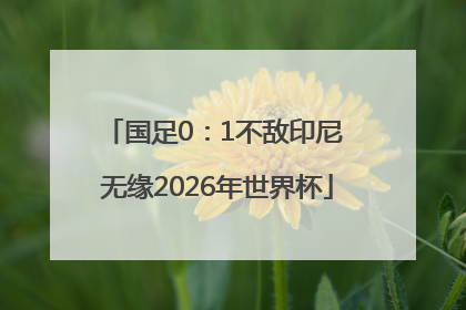 国足0：1不敌印尼 无缘2026年世界杯