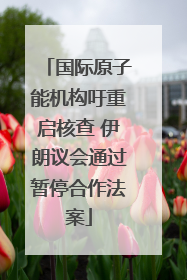 国际原子能机构吁重启核查 伊朗议会通过暂停合作法案