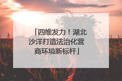 四维发力！湖北沙洋打造法治化营商环境新标杆