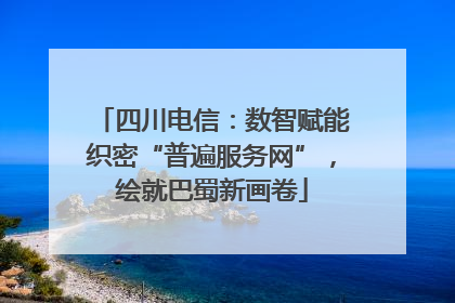 四川电信：数智赋能织密“普遍服务网”，绘就巴蜀新画卷
