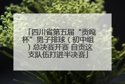 四川省第五届“贡嘎杯”男子排球（初中组）总决赛开赛 自贡这支队伍打进半决赛