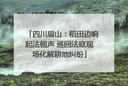 四川眉山：稻田边响起法槌声 巡回法庭现场化解耕地纠纷