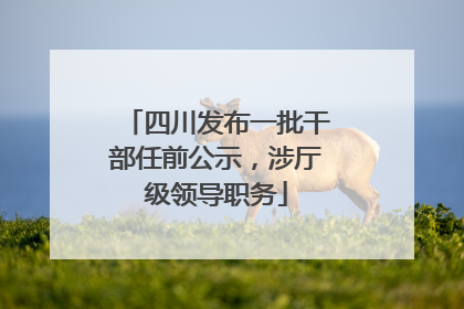 四川发布一批干部任前公示，涉厅级领导职务