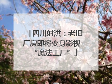 四川射洪：老旧厂房即将变身影视“魔法工厂”