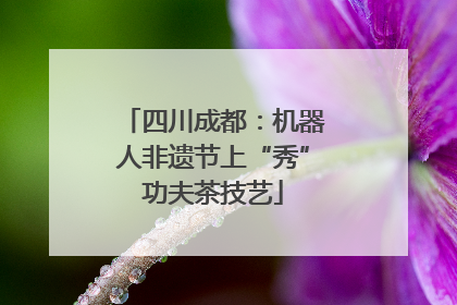 四川成都：机器人非遗节上“秀”功夫茶技艺