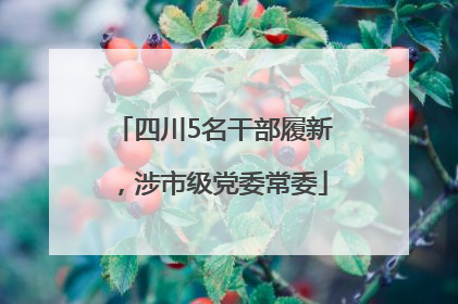 四川5名干部履新，涉市级党委常委