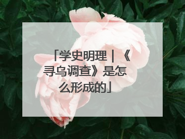 学史明理｜《寻乌调查》是怎么形成的
