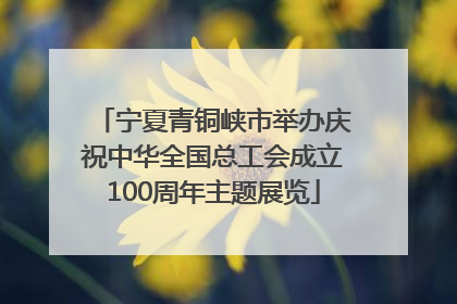 宁夏青铜峡市举办庆祝中华全国总工会成立100周年主题展览