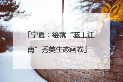 宁夏：绘就“塞上江南”秀美生态画卷