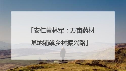 安仁黄林军：万亩药材基地铺就乡村振兴路