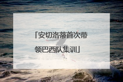 安切洛蒂首次带领巴西队集训