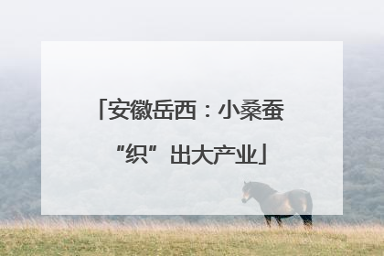 安徽岳西：小桑蚕“织”出大产业