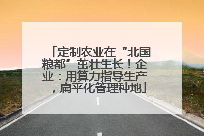 定制农业在“北国粮都”茁壮生长！企业：用算力指导生产，扁平化管理种地