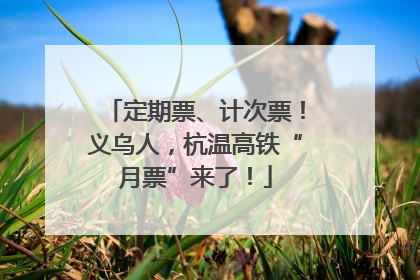 定期票、计次票！义乌人，杭温高铁“月票”来了！
