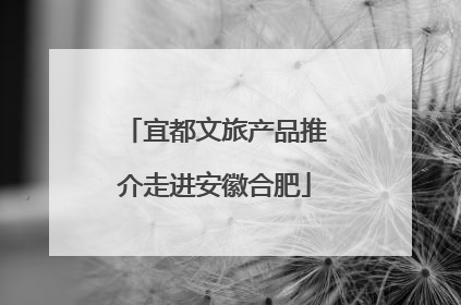 宜都文旅产品推介走进安徽合肥