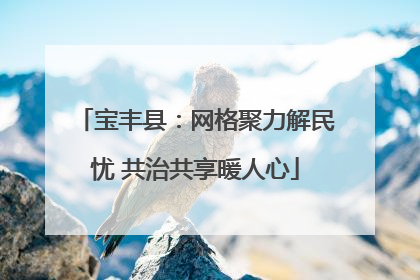 宝丰县：网格聚力解民忧 共治共享暖人心