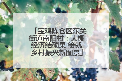 宝鸡陈仓区东关街道南阳村：大棚经济结硕果 绘就乡村振兴新图景