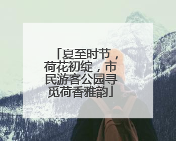 夏至时节，荷花初绽，市民游客公园寻觅荷香雅韵