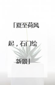 夏至荷风起，石门绘新景