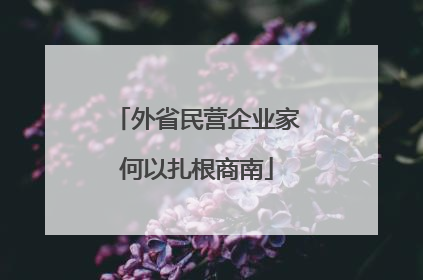 外省民营企业家何以扎根商南