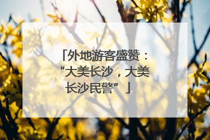 外地游客盛赞：“大美长沙，大美长沙民警”