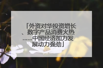 外资对华投资增长、数字产品消费火热……中国经济加力发展动力强劲