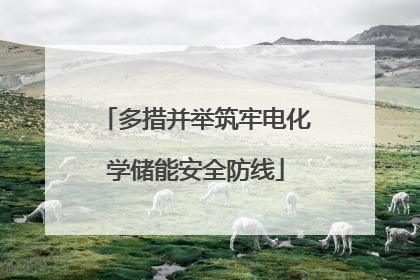 多措并举筑牢电化学储能安全防线