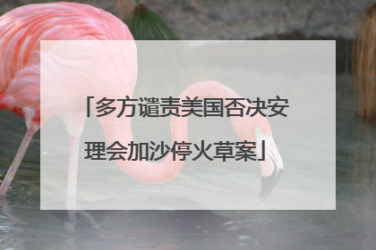 多方谴责美国否决安理会加沙停火草案